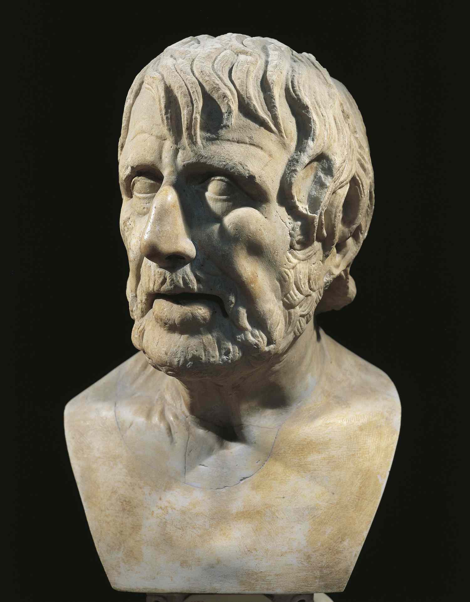 Seneca image